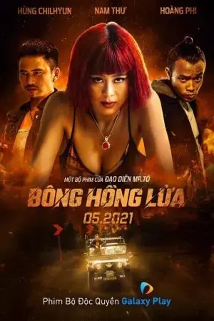 Bông Hồng Lửa